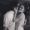 Leonor_Agustin