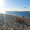 Nono_Ls60
