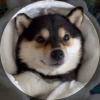 athex