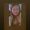 Faty_Santiag