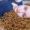 Karinne_Dos_Reis