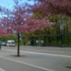Sofia_Sotiriadou_6486