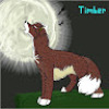 Timberwo1f