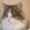 ghislaine_greffier