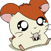 Hamtaro_