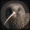 KIWI_BRO