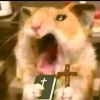 HOLYHAMSTER