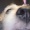 Hiy0