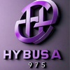 Hybusa975_7999