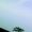 Miracle_Chidi_8438