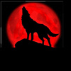 Bloodmoon_wolf