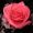 Janet_Hernandez_7834