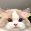 Mayyy_3115