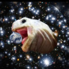 Tortuga_cosmica