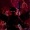 DarkRavin