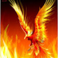 PhoenixFire71