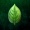 Hardleaf