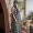 Carmen_Torres_6158