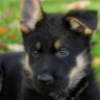 GSD_s3