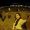 Diana_Vidal_6976