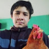 Roshisan
