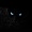 Black_Cat99