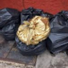 Gold_Trash_Bag