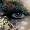Widget_West