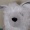 Kawaii_WolfCub
