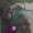 Malika_Sadeg