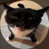 Hotei_