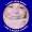 Daoist5Qlhk7