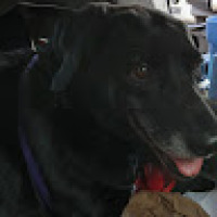 Matthew_Hawkins_6469