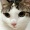 Ttyki\_Kitty