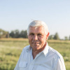Rolando_Guadradi