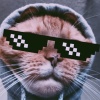 xaif