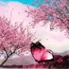 Faazila_Thahir
