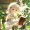 FOREVER_SAN