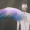 Surui_Ta