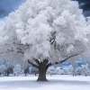 Alfredo_Arrieta_7504