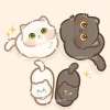 Hana_9279