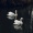 Ammu_333