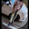 Gyalcrook357