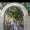 Emad_Youssef