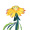 FLORES_MENDEZ