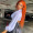 Ideh_Jennifer