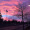 Evanescent_Gus