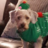Kathleen_Mcdade