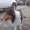 Eliezer_De_Paz