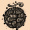 OnePieceChronicles